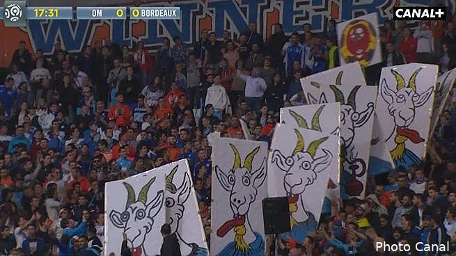 om les chevres rene maville et bengous ont adorees 160410 banderoles velodrome139452