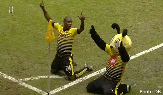 pl allardyce exige une sanction contre la mascotte de watford 2f8cbb6900000578 3368745 image a 14 1450696926927165554