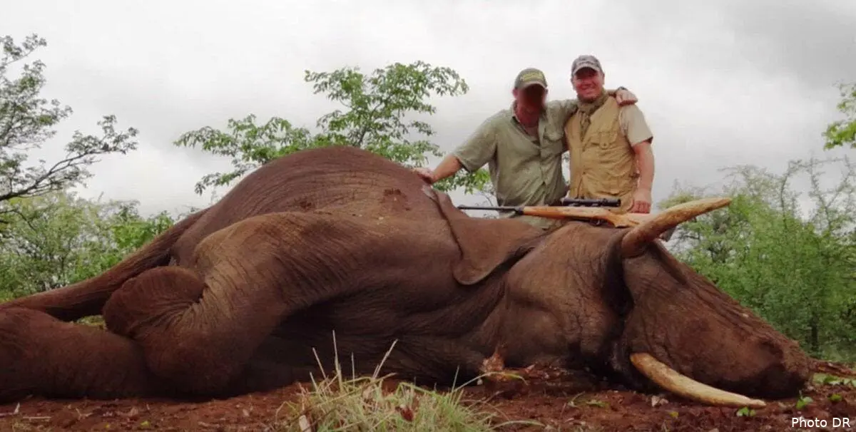 polemique olmeta chasse et tue un elephant et pan le bad buzz cvekw2dw8aeczws158398
