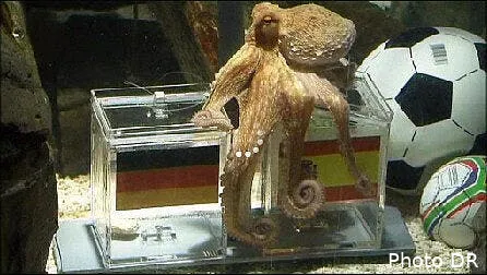 paul le poulpe mise sur l espagne contre l allemagne 55986 8817