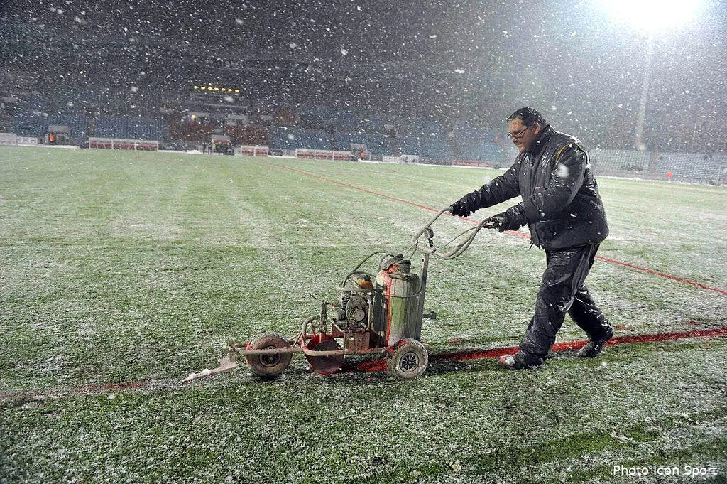 a lille les stars sont les jardiniers 64554 13292