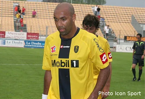 dalmat presente ses excuses 23658