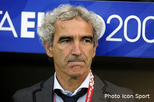 domenech l euro 2008 c etait une preparation pour le mondial 26166