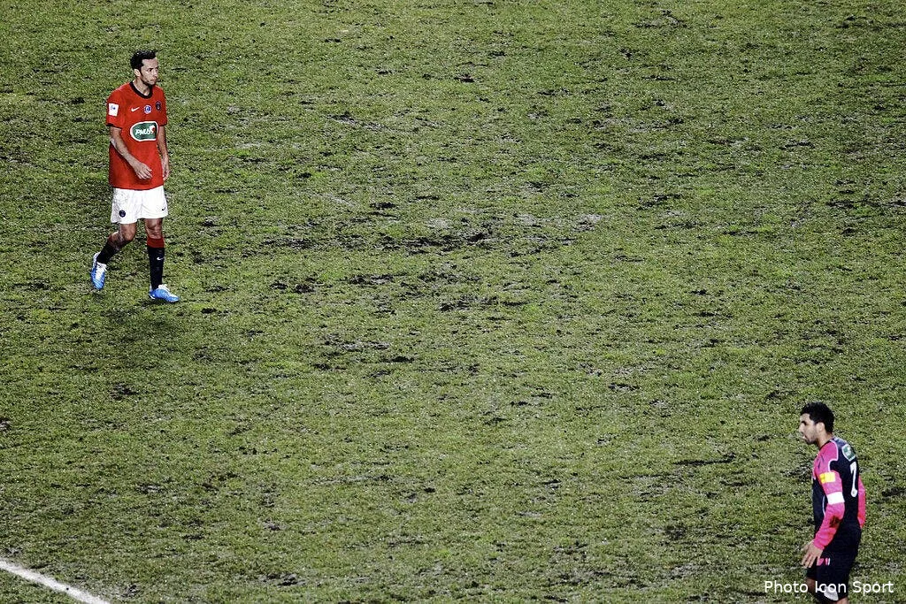 la pelouse du parc refait peau neuve 66488 14903