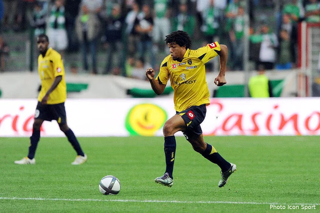 les lionceaux version chatons contre le tfc 61441 11167