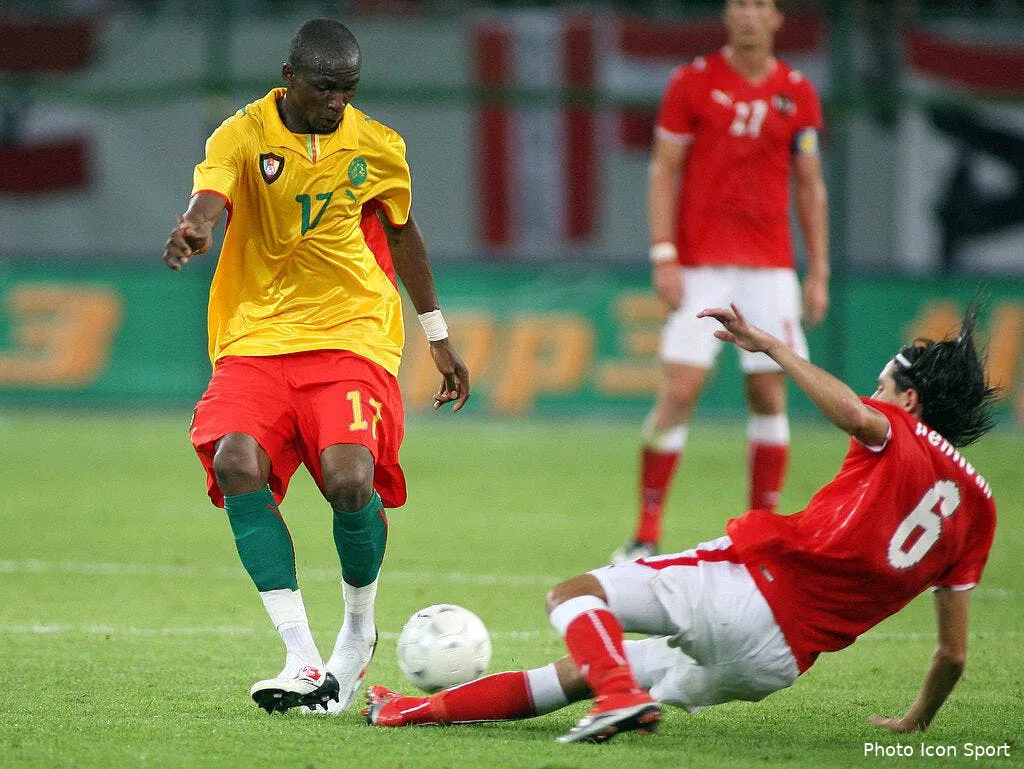 les lions sont ils vraiment indomptables 35425 5077