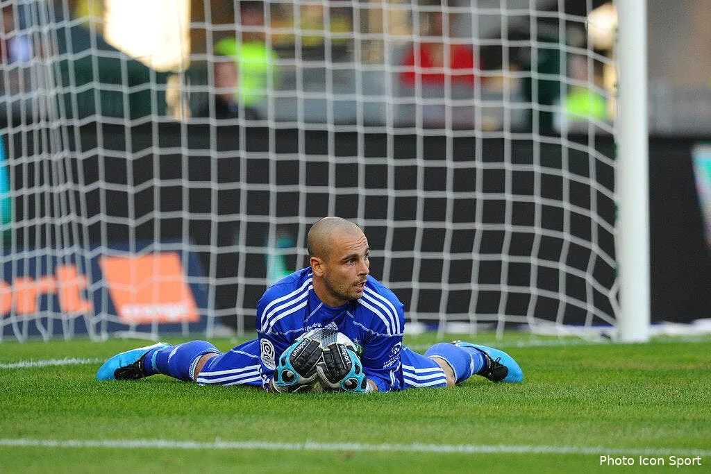 les verts ne sortent pas de terre 36709 5263