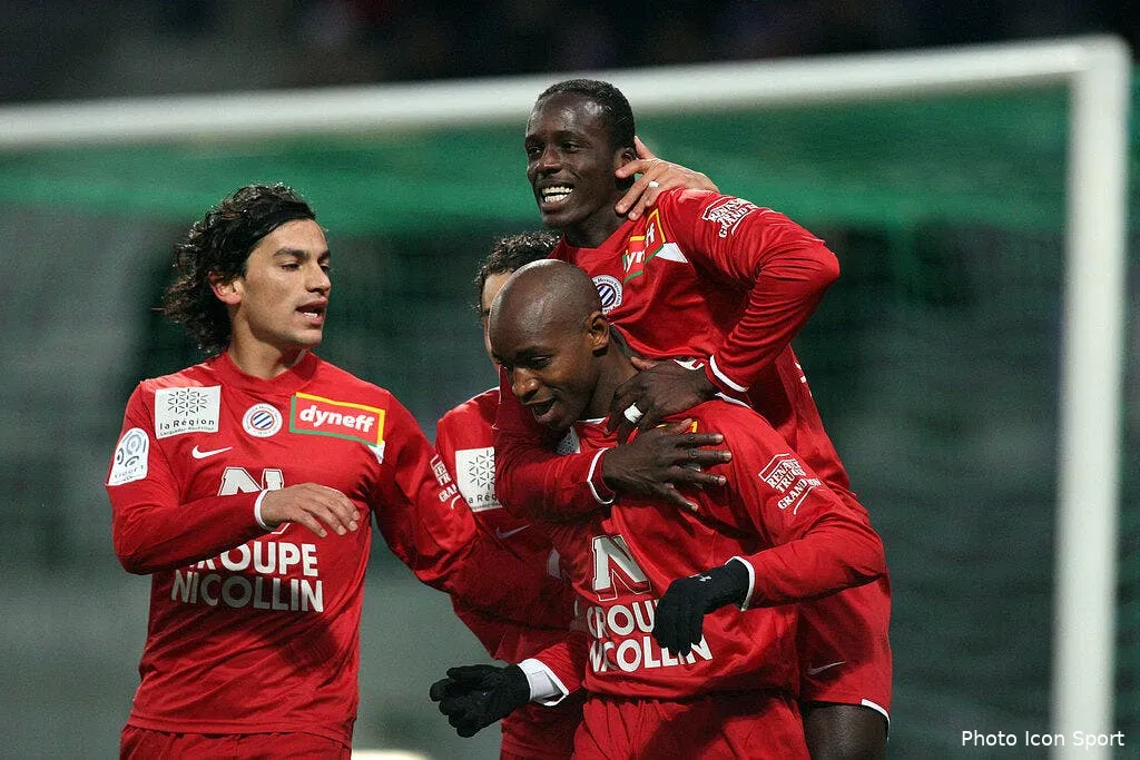 montpellier le dauphin fait flipper bordeaux 43011 6348