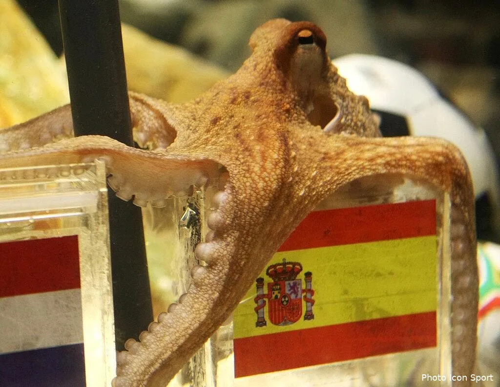 paul le poulpe a sa statue en allemagne 66105 14584