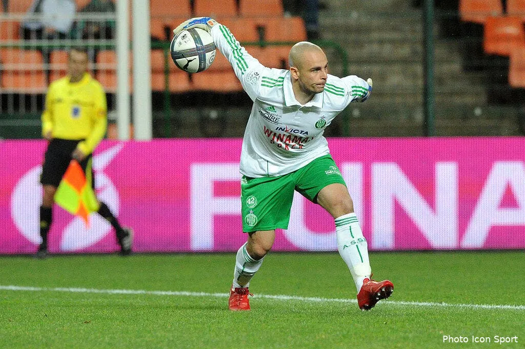 petit a petit les verts font leur nid 63594 12583