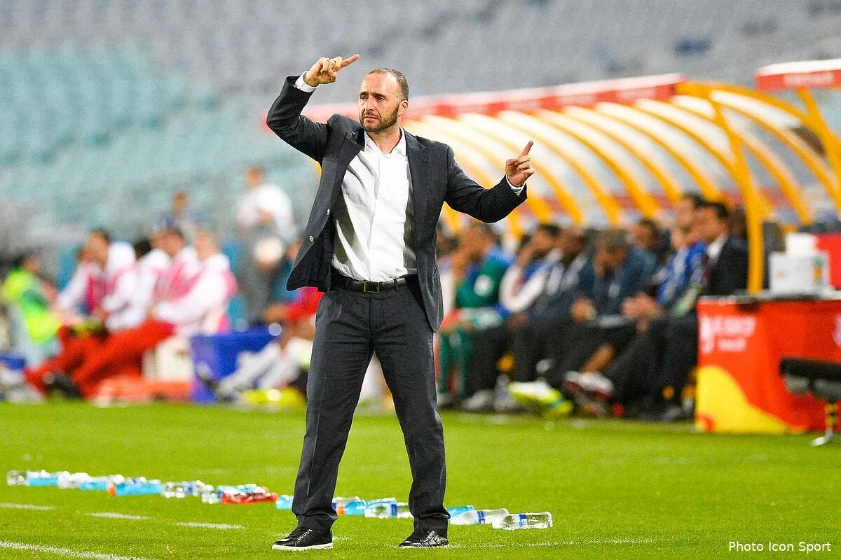 algerie deux candidats historiques pour le poste de selectionneur iconsport plu 190115 09 07196243