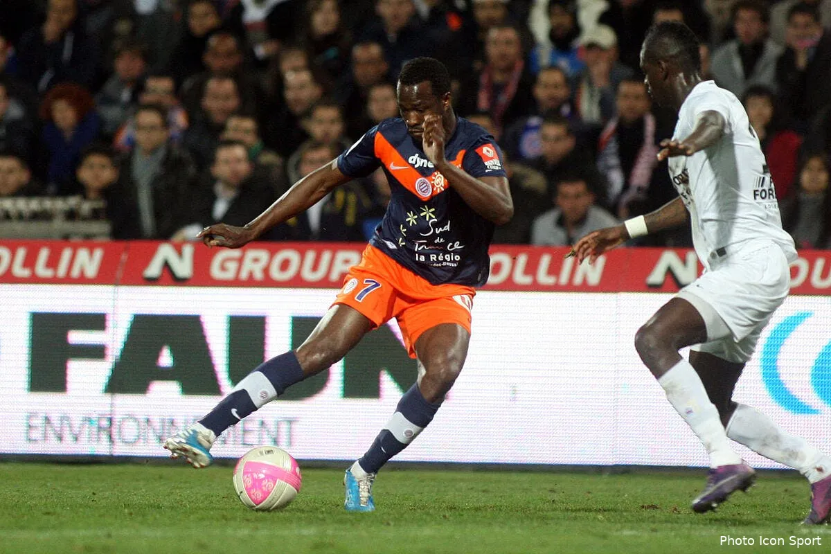 champion ou pas montpellier fait une saison magnifique iconsport guy 110312 72 0432255