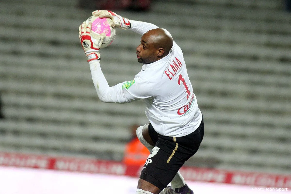 dupont et brest peuvent rendre hommage a elana iconsport noe 040212 201 4531308