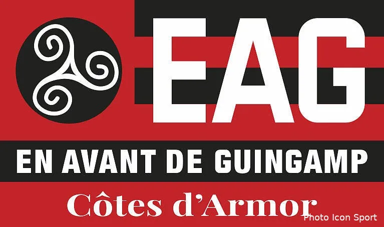 eag le groupe de guingamp contre l ol eag logo164190