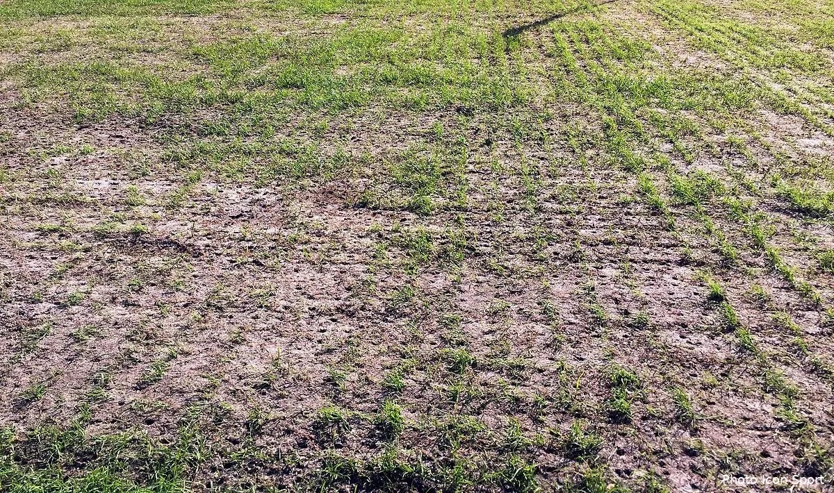 el rostov manchester united les compos 19h00 sur bein sports 1 iconsport 30454350173208