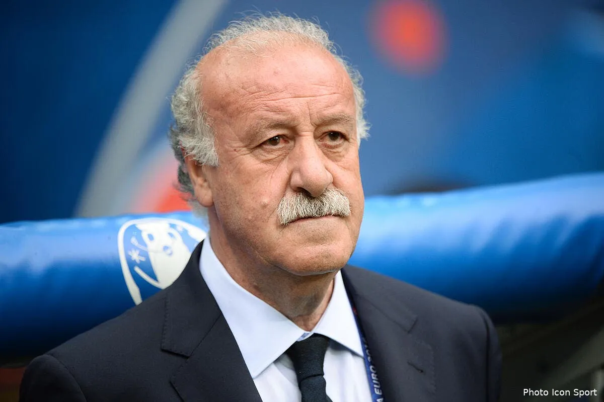 espagne del bosque donne sa demission iconsport nlg 270616 17 211147614