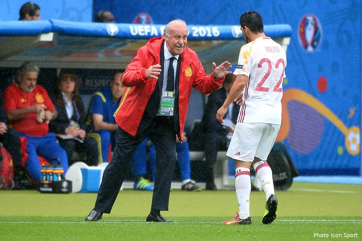 espagne del bosque va tres vite savoir iconsport nlg 270616 05 06147318