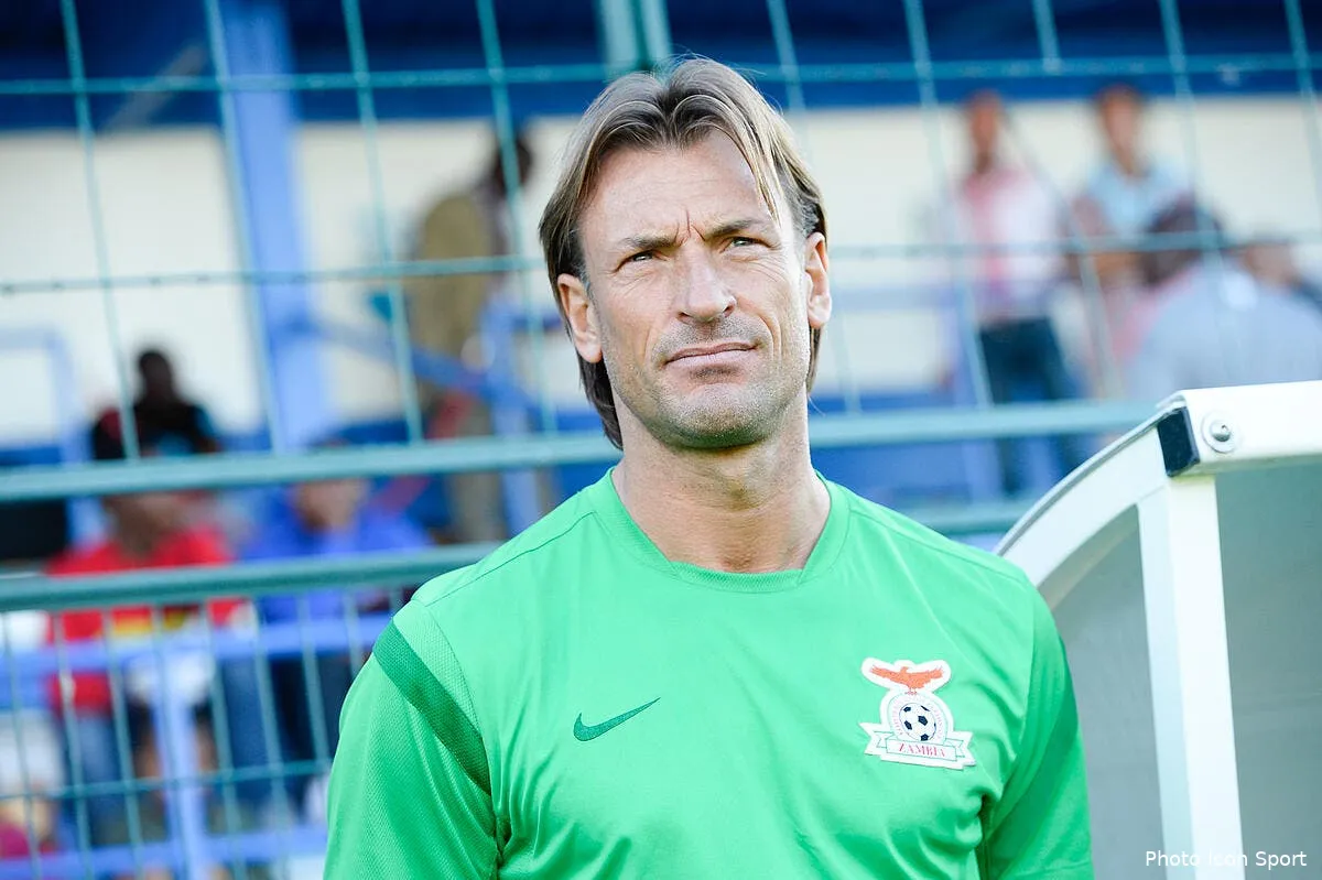 herve renard sort du bois et devient coach de sochaux iconsport por 140813 51 3867131