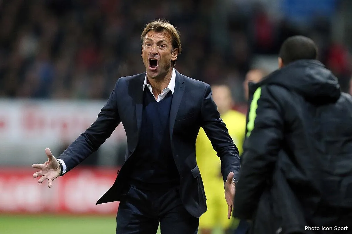 il n y a pas de chasse au renard a lille iconsport vmi 171015 24 20124045