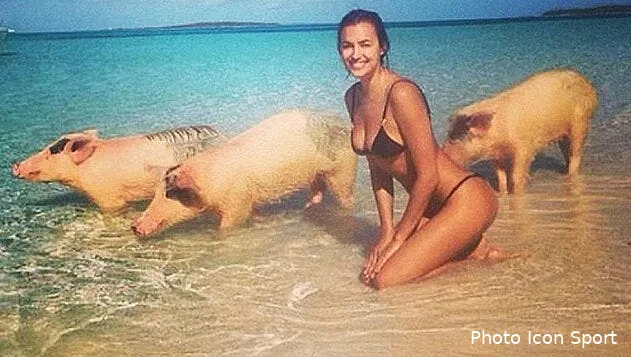 insolite cristiano ronaldo sa fiancee aime les cochons cr780935