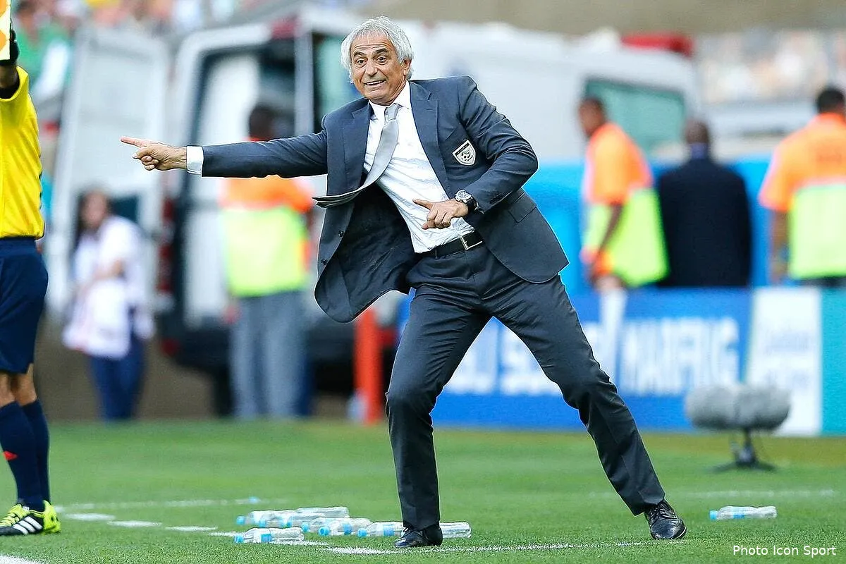 l algerie a tout a perdre previent halilhodzic halilhodzic 186103