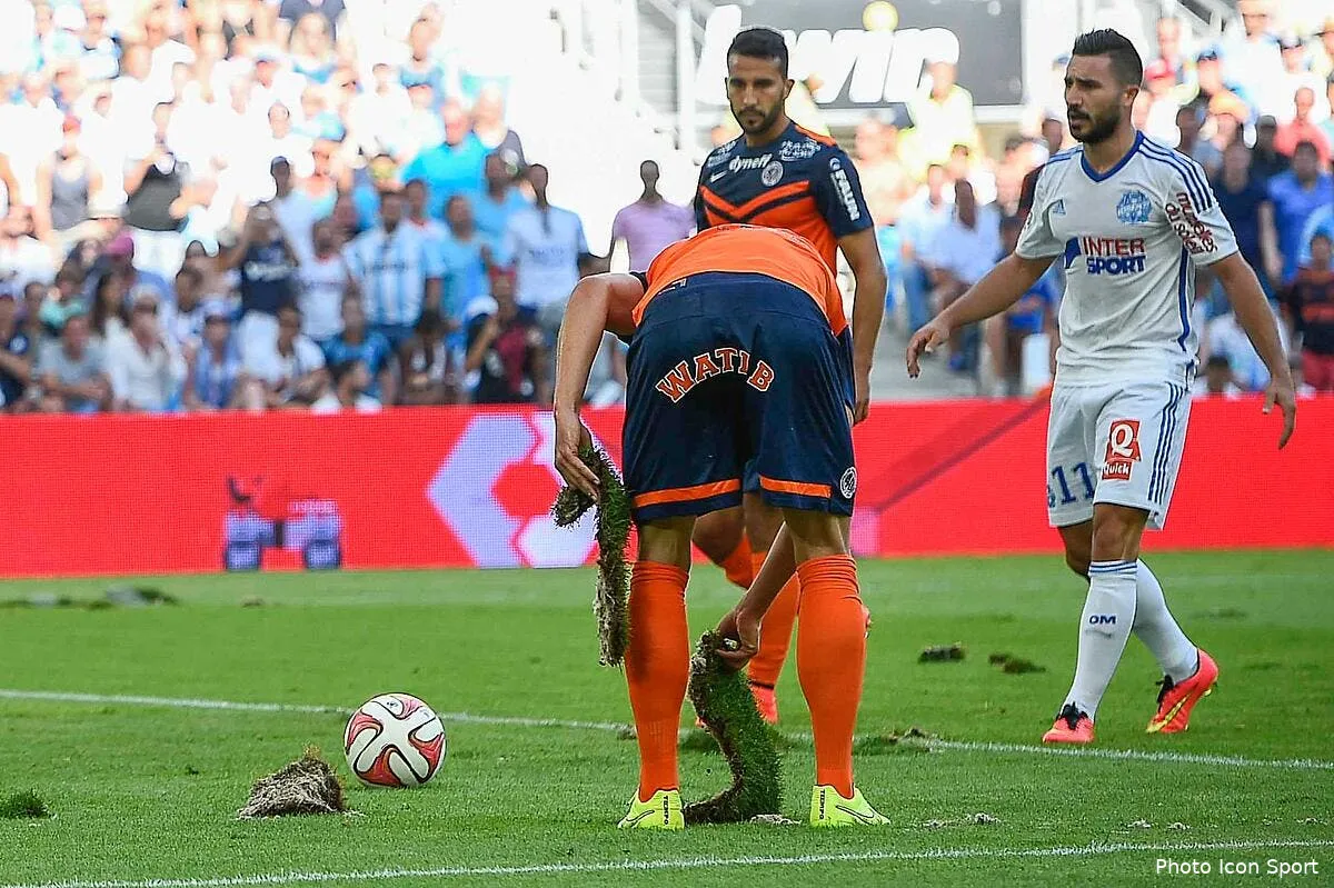 l om c est encore pire au classement des pelouses pelouse om90087