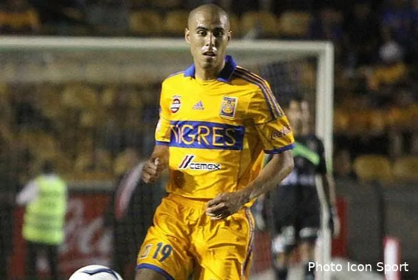 l om risque de se casser les dents sur un tigre mexicain pizarro 6519561284117383