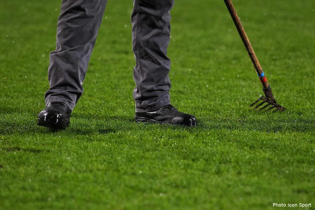 l1 nice om se jouera sur un bon champ de patates icon mrv 310115 08 04262747