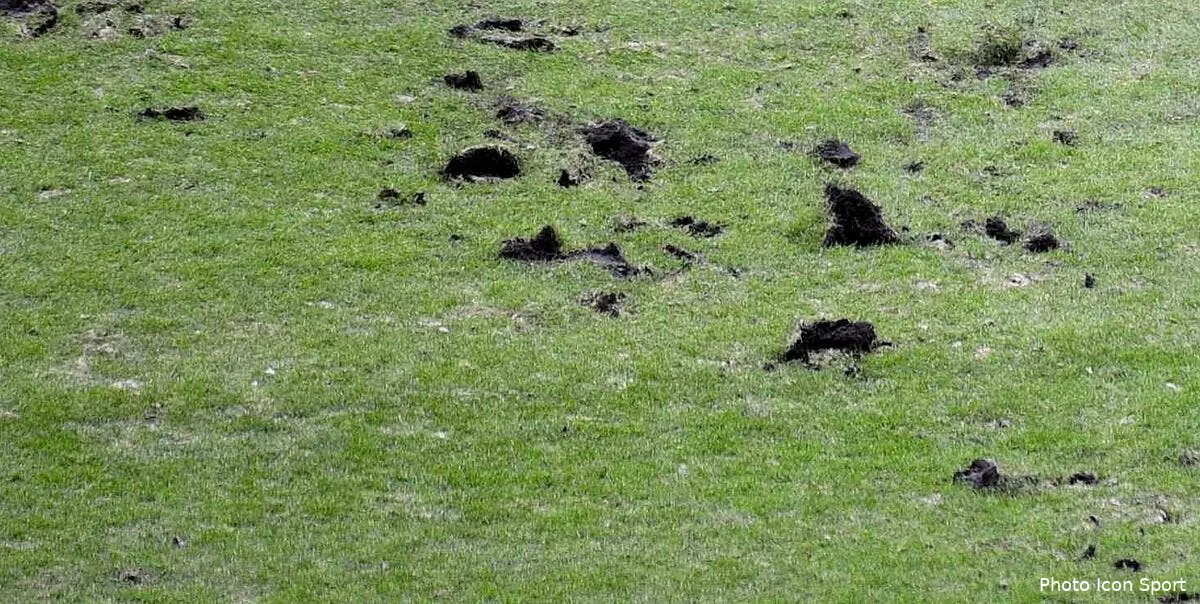 la lfp ne peut rien faire contre les champs de patates en ligue 1 iconsport noe 020313 88 4451427