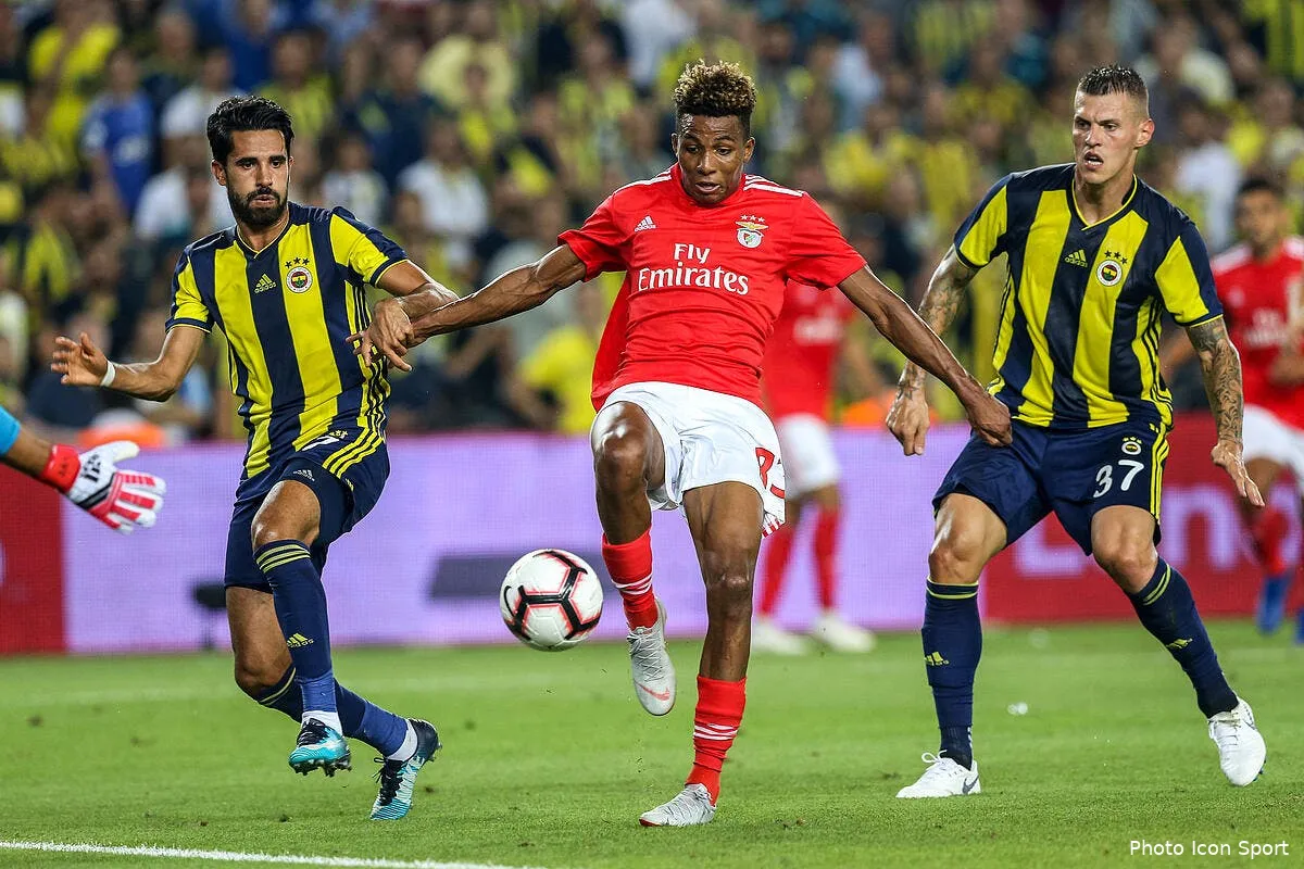 ldc benfica elimine fenerbahce l ol regardait cela de pres iconsport icon glo 140818 01 04227669