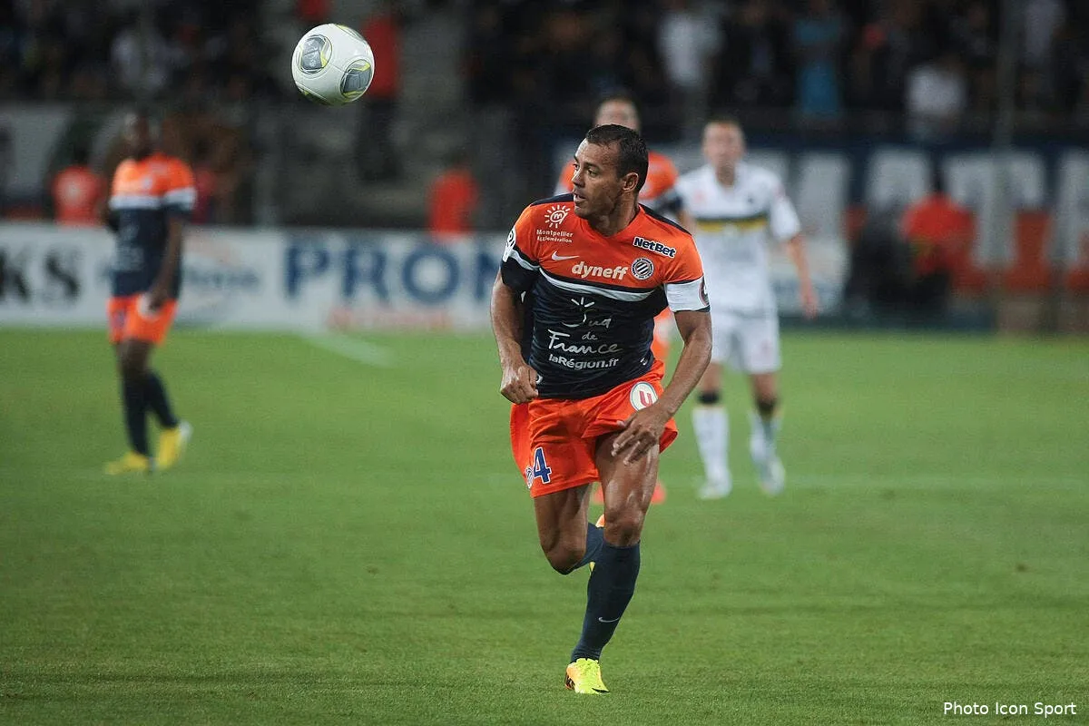 le capitaine de montpellier condamne pour fraude fiscale hilton66247