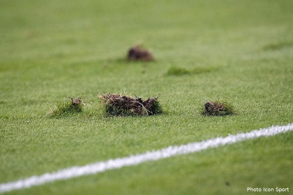 lille garde son champ de patates pour recevoir l ol 67330 15635