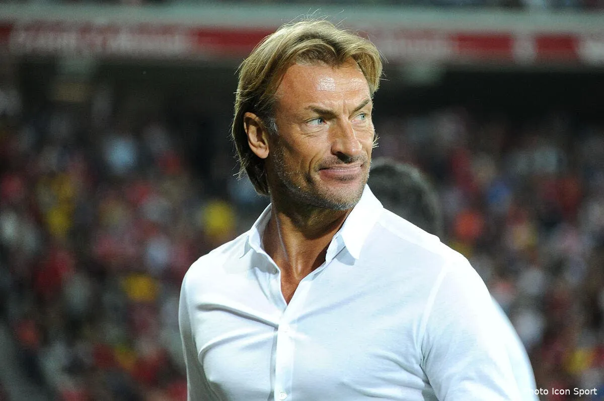 lille herve renard promet un retour et une revanche renard 2160762