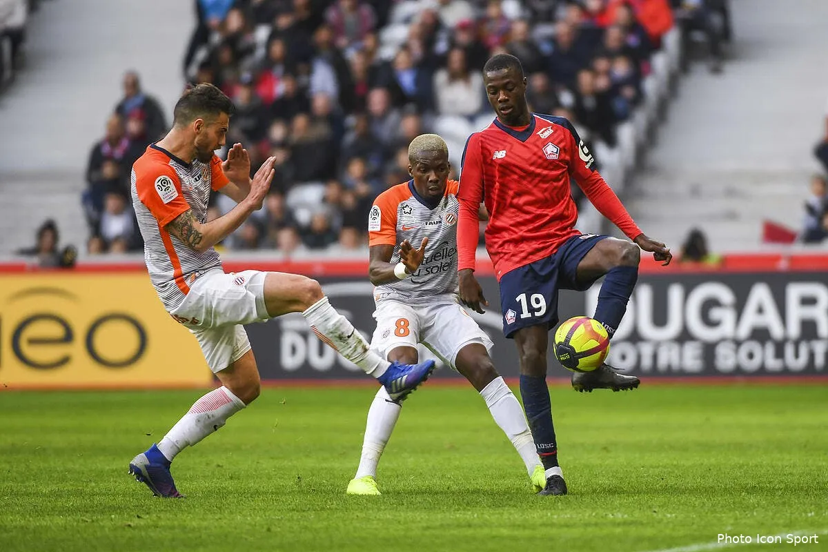losc le prix de pepe va encore monter lille jubile icon alc 170219 45 113247509