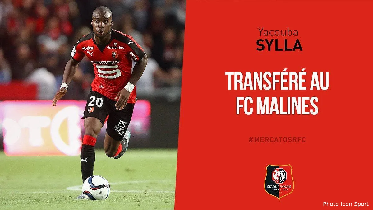 mercato syla quitte rennes et part en belgique dtvwn6cxcaaryxn206819