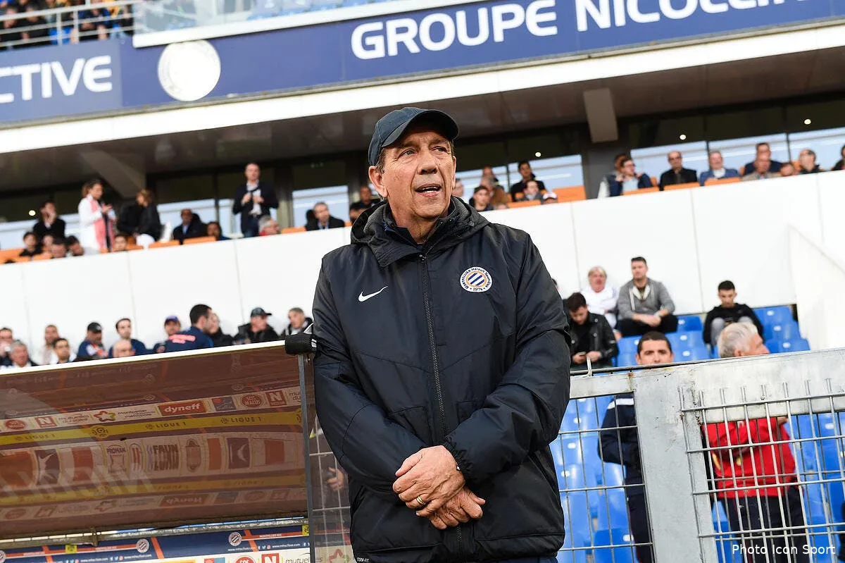 mhsc gasset confirme son depart de montpellier iconsport dim 150417 08 38179690