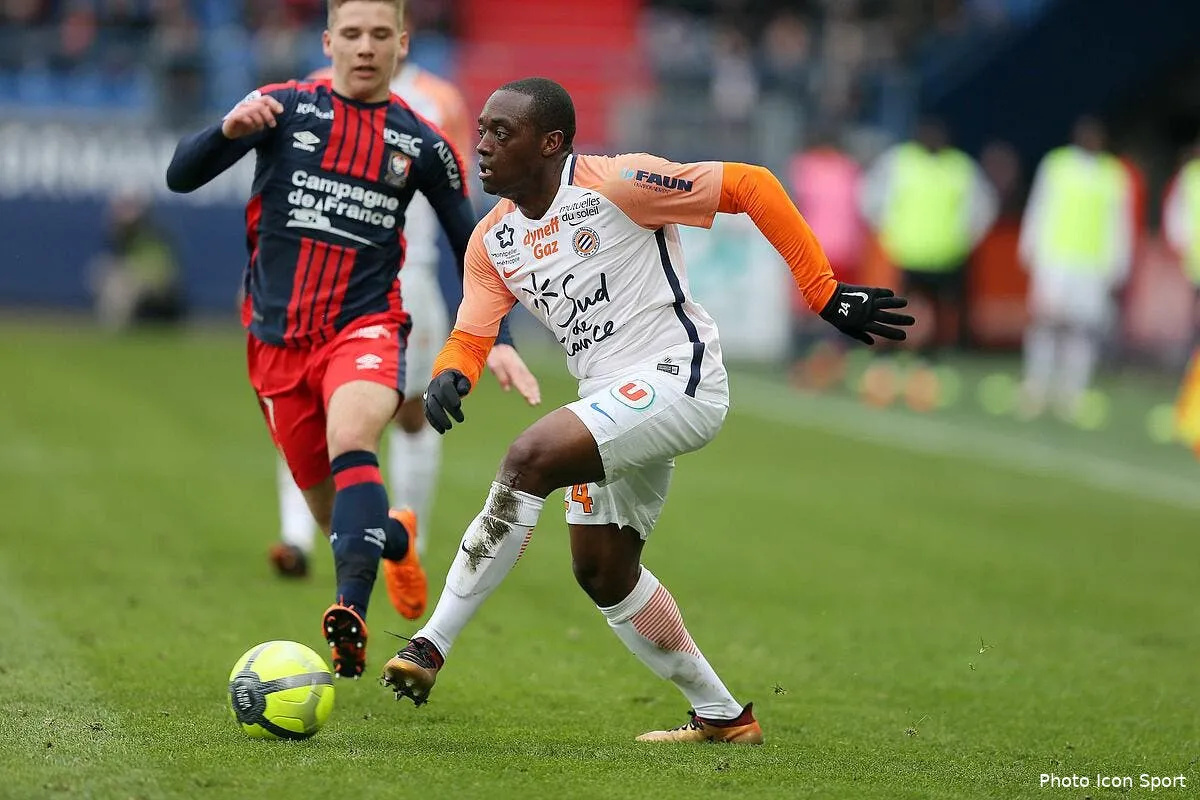 mhsc roussillon dit adieu a la l1 il debarque en allemagne icon vmi 010418 23 49226127