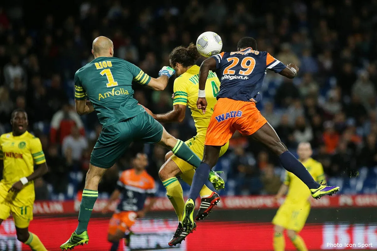 montpellier accepte son titre de roi des nuls iconsport guy 031113 02 0369047