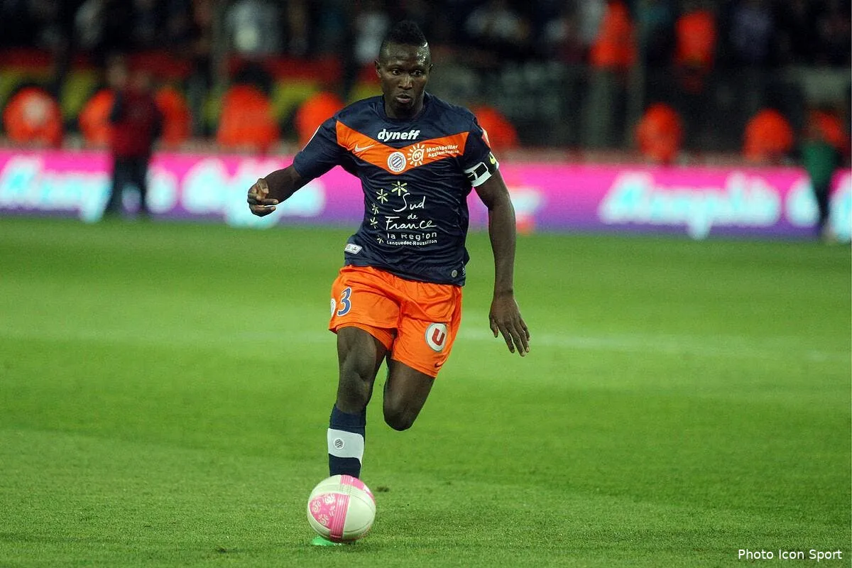newcastle veut un nouveau francais de montpellier iconsport guy 130512 77 2535500