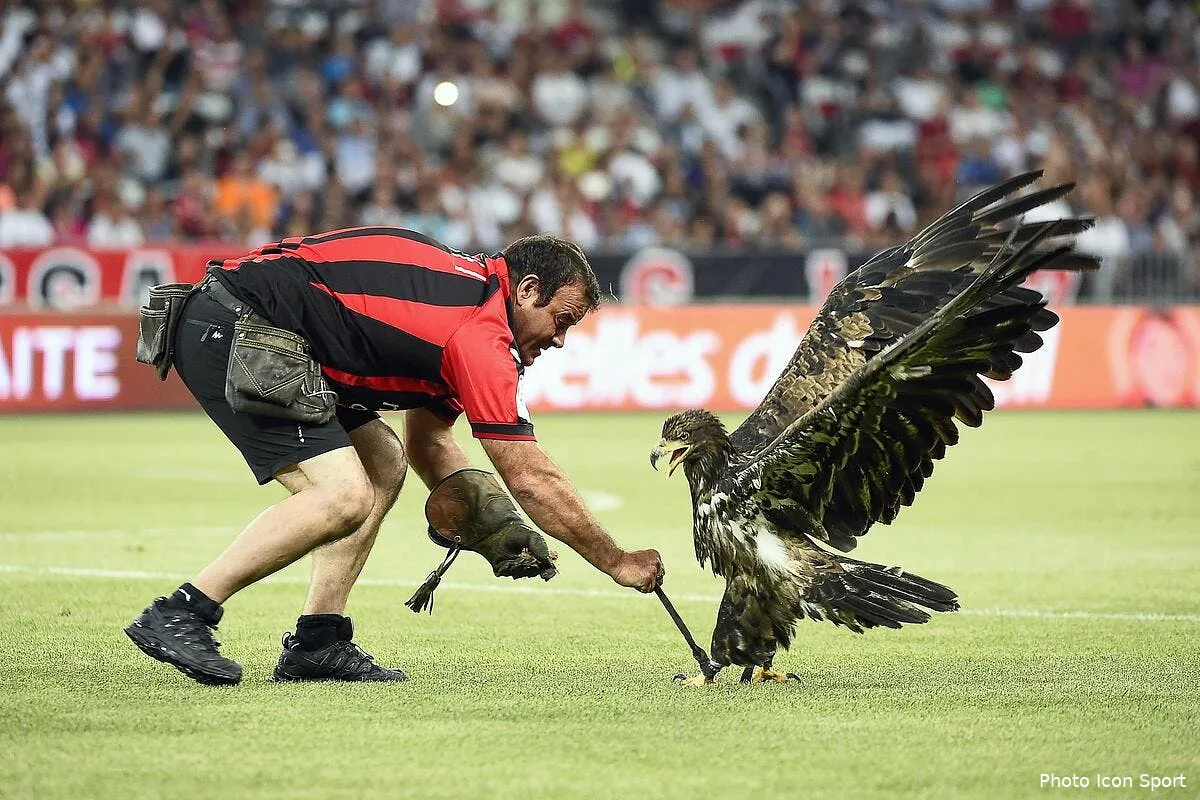 nice et l allianz riviera ne seront pas prives d euro 2016 iconsport por 090814 29 0494819