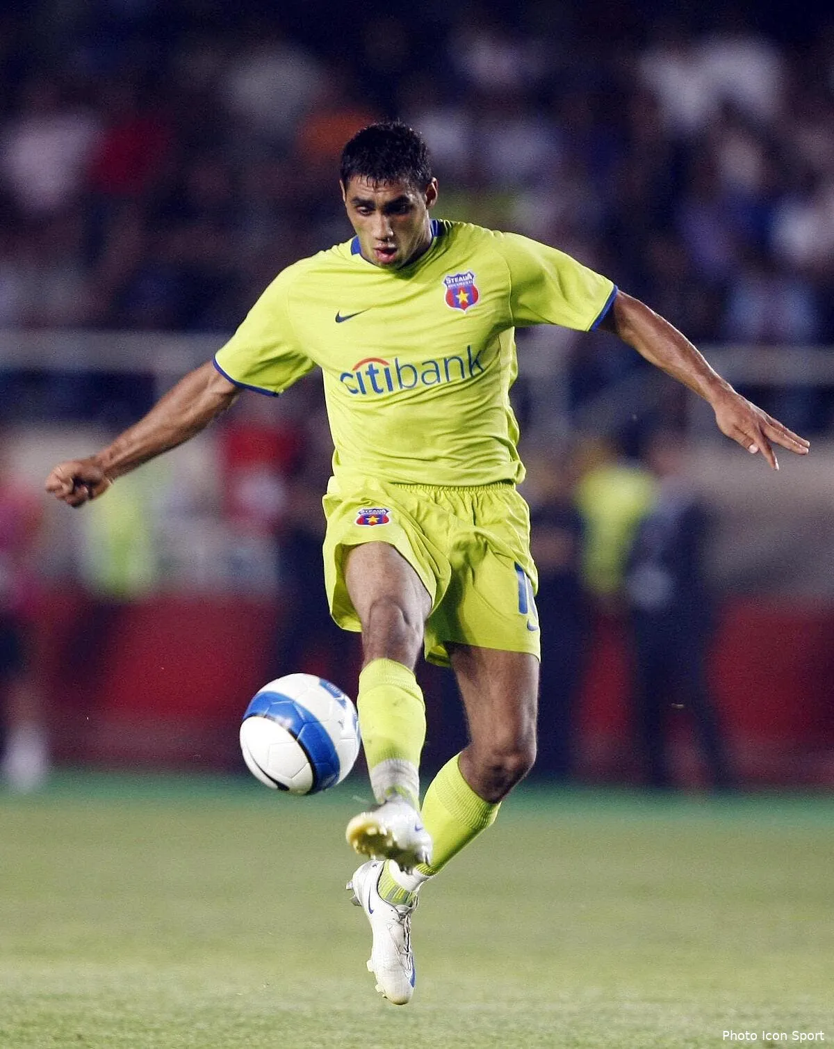 nicolita le juste milieu des verts iconsport art 080808 02 0524162