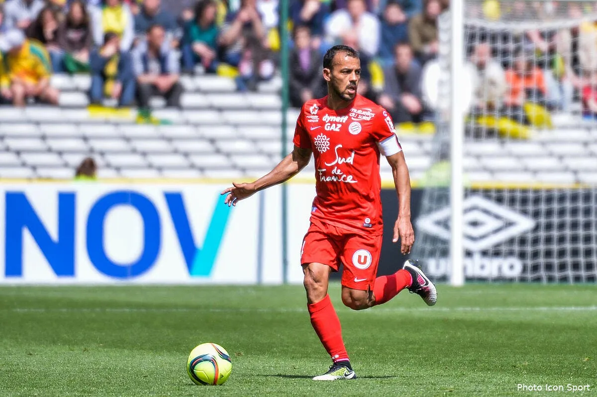 officiel encore un an a montpellier pour hilton hilton 3142692