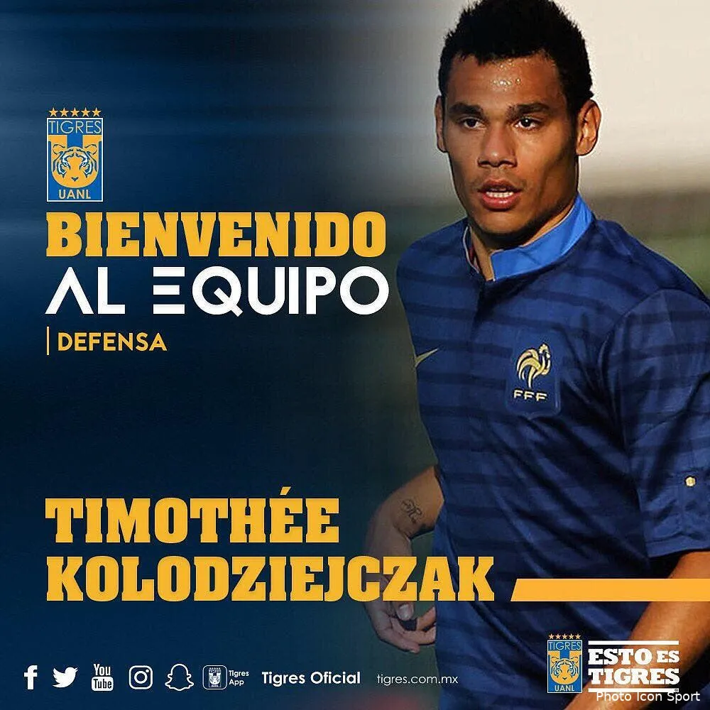 officiel timothee kolodziejczak signe chez les tigres djek5vlwsaelz d192399