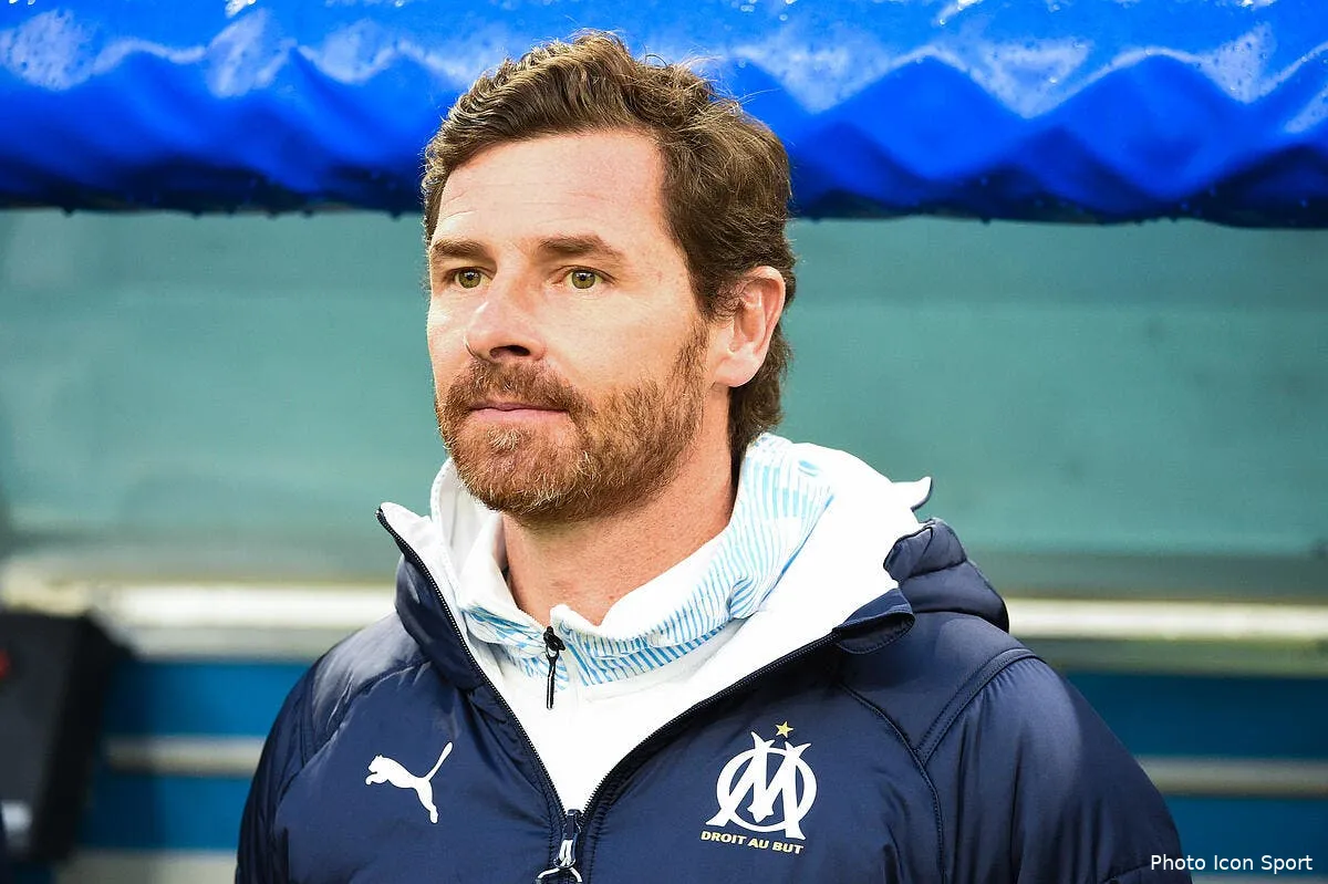 om villas boas gere le mercato l idee de genie icon adim 250120 34 213286833