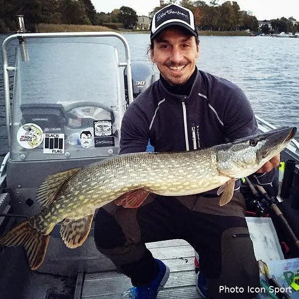 photo quand zlatan peche c est pas des sardines bzquwr5ceaanngi94147