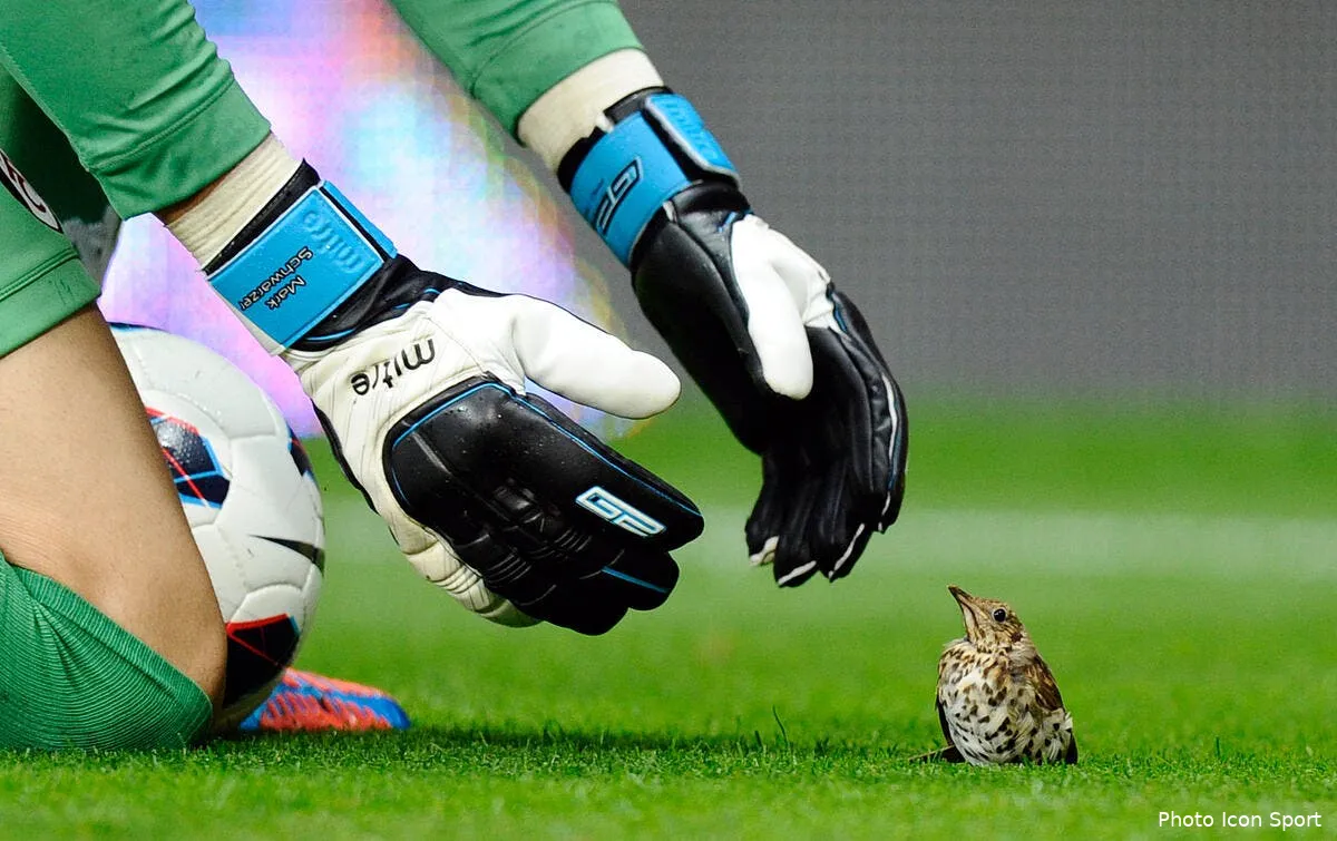 pronos01 episode 1 iconsport spi 250812 08 1839184