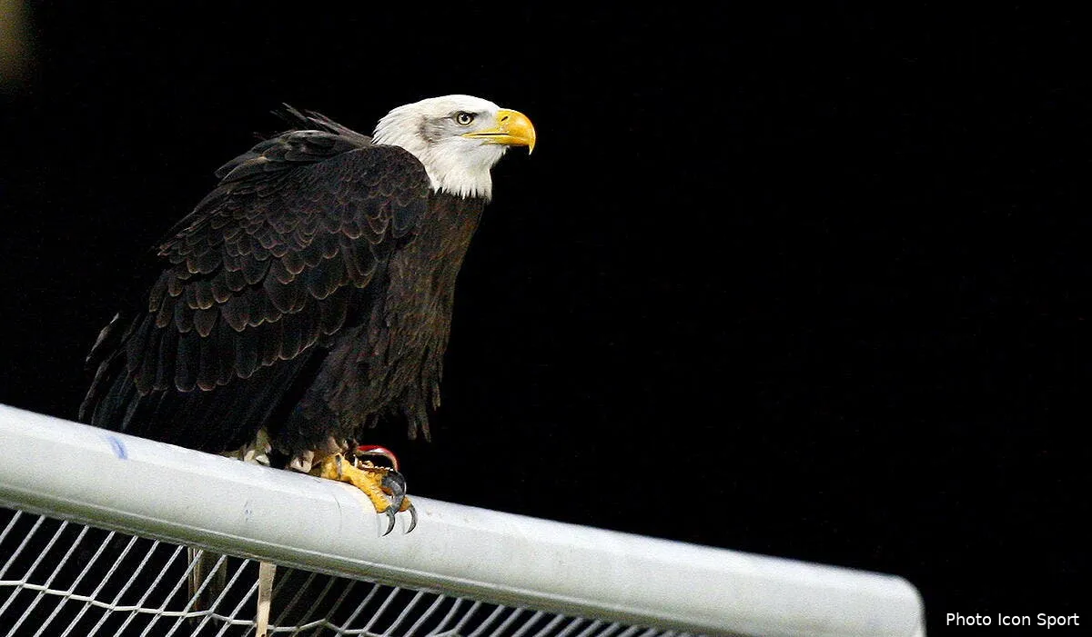 pronos01 episode 18 iconsport spi 100112 05 0829820