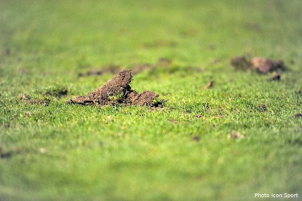 pronos01 episode 3 69827 17790