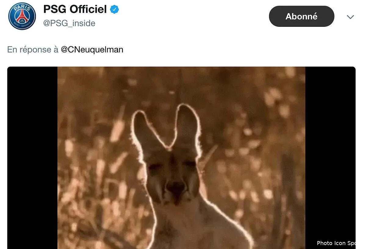 psg quand le psg trolle aulas et son kangourou kangouro psg aulas191735
