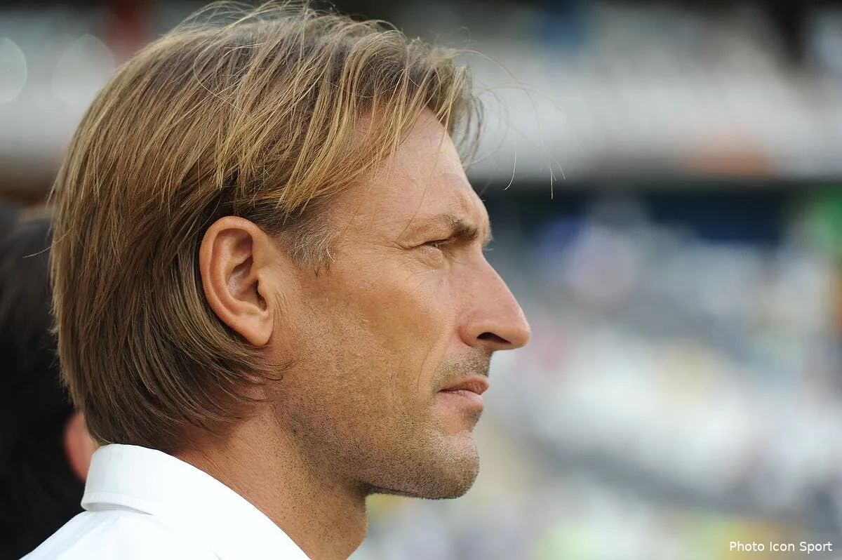 renard a bien aime son sochaux iconsport soe 250113 01 1168039